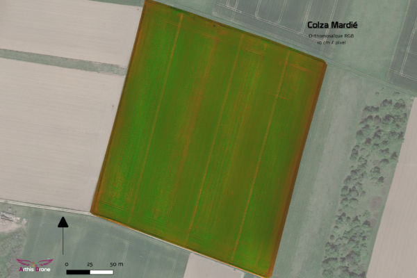 Export colza 8