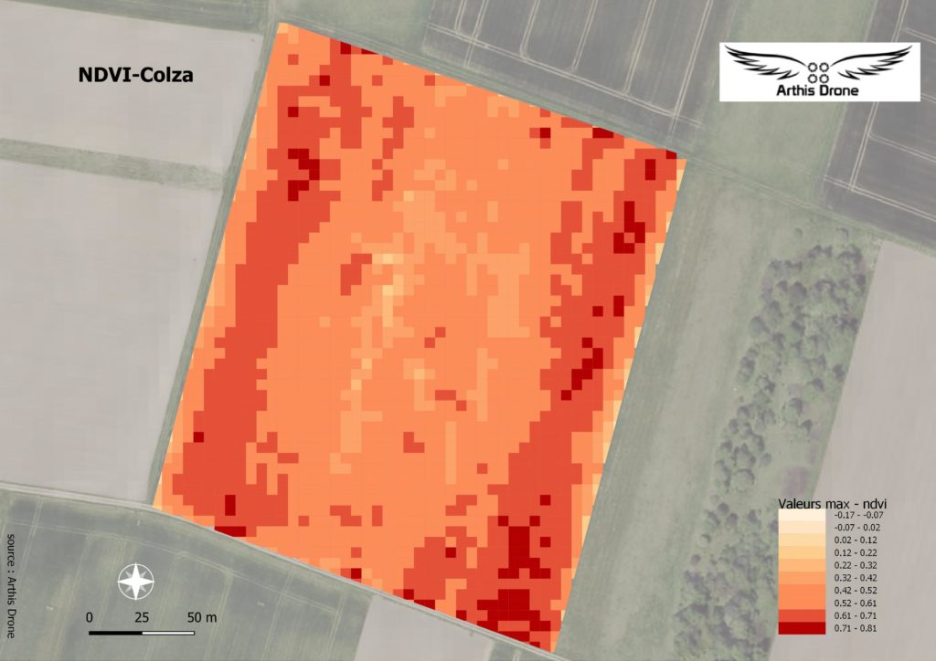 ndvi colza